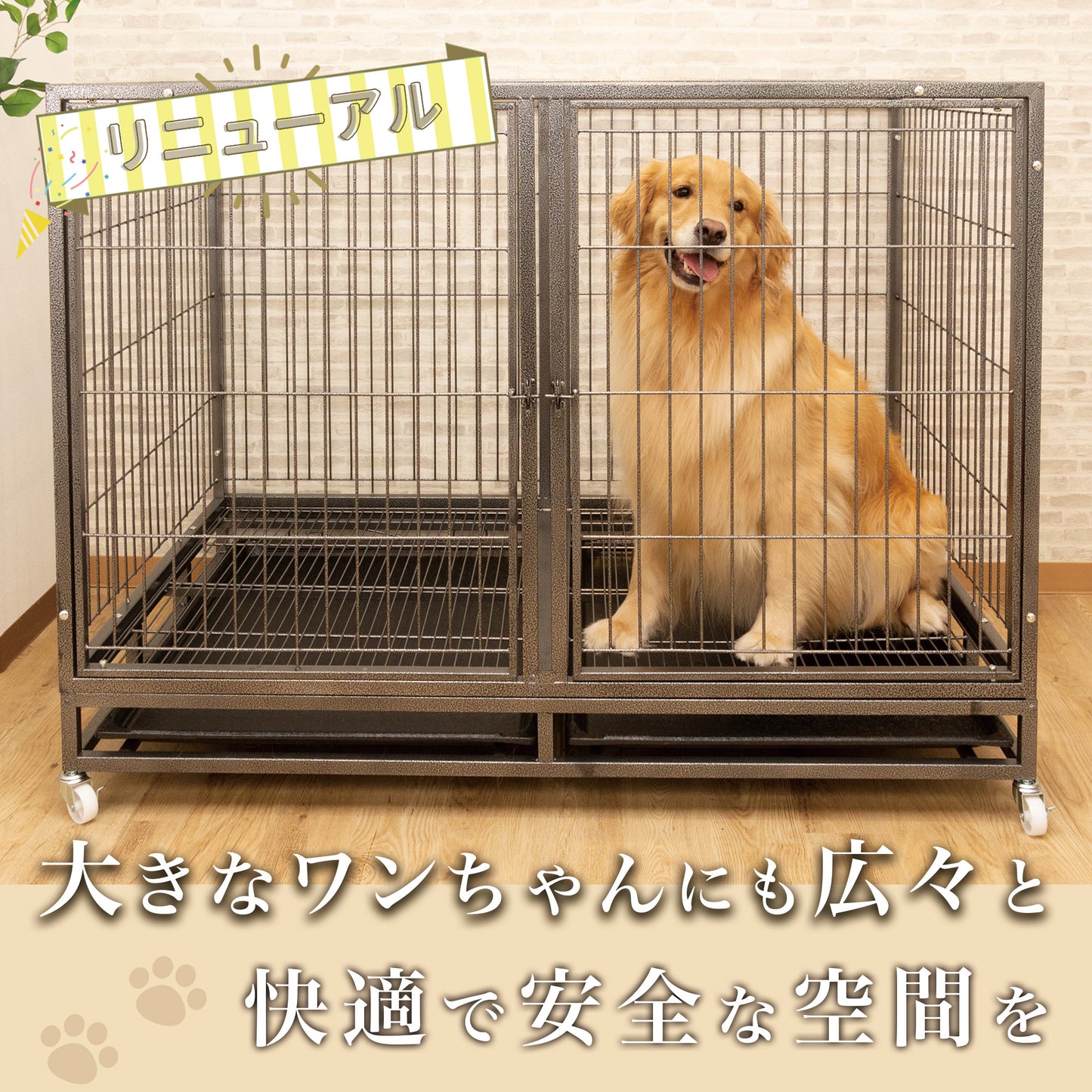 ベーシックケージ(3L)