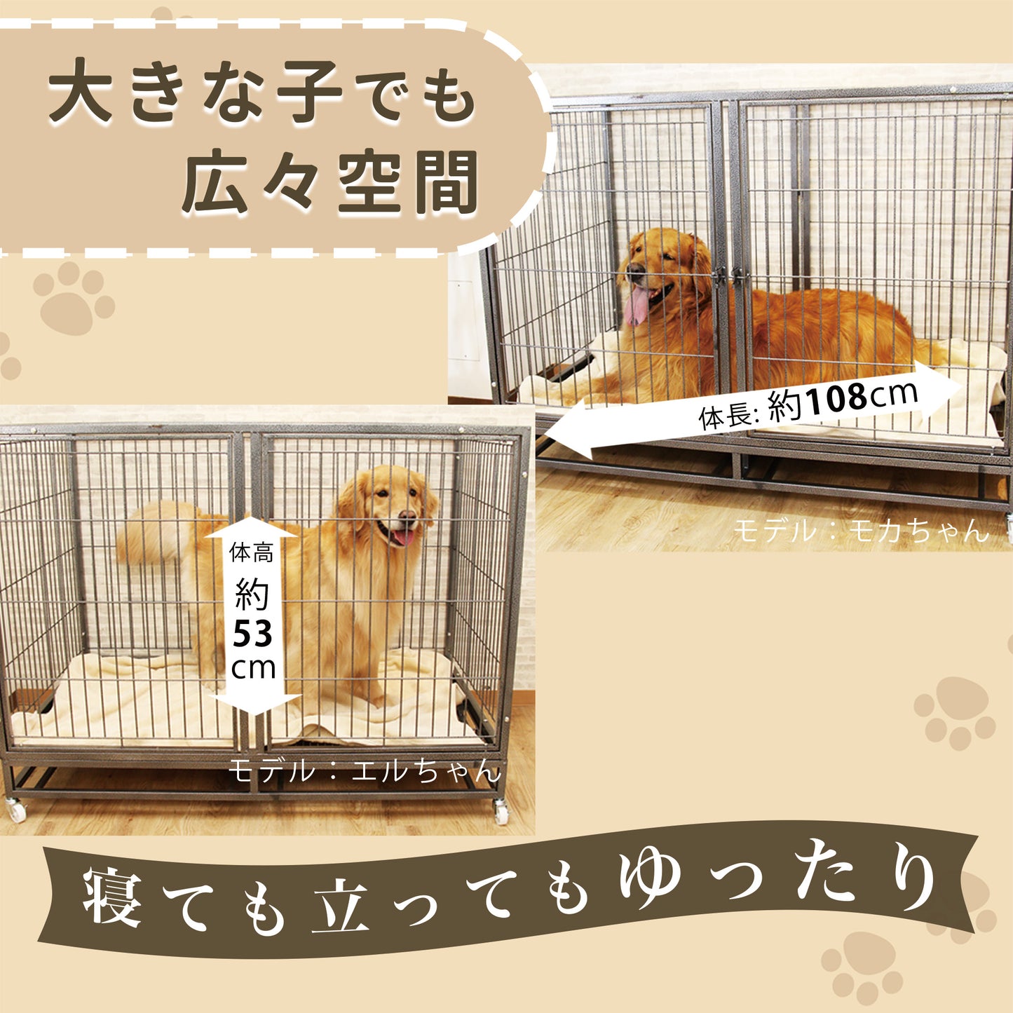 ベーシックケージ(3L)