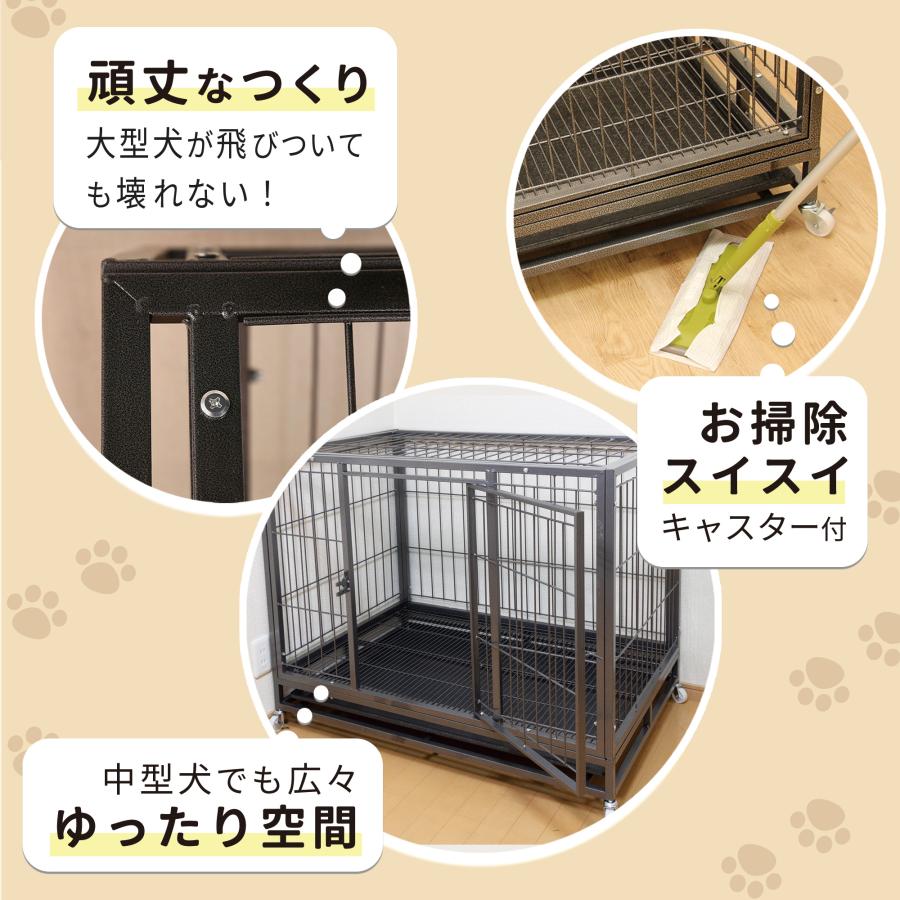 ベーシックケージ(2L)