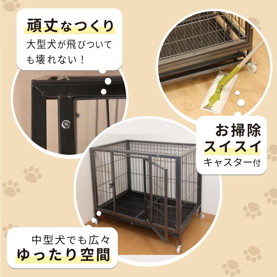 ベーシックケージ(L)