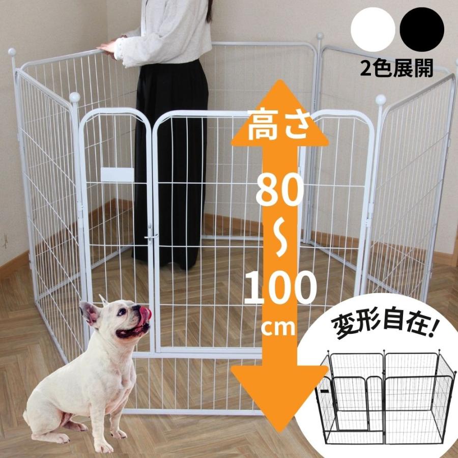 ドックサークル