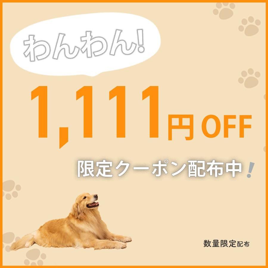 【即日発送・送料無料】大型ペットケージ(大型犬/中型犬/小型犬)【Shopify公式決済】
