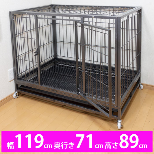 ベーシックケージ（２Ｌ）
